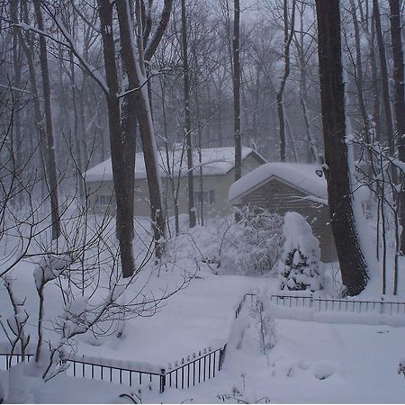 Bear House Bed And Breakfast Dover Екстериор снимка