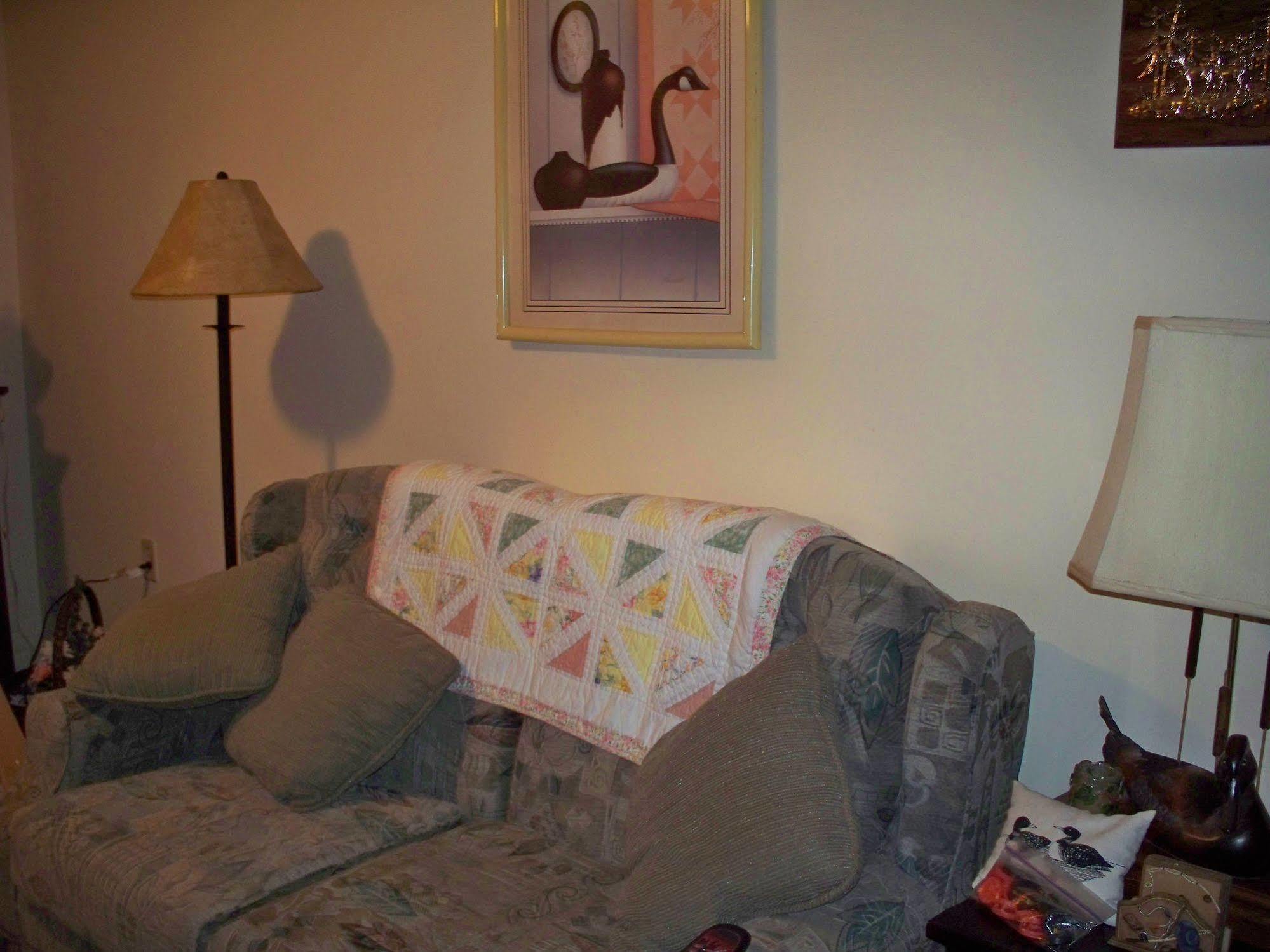 Bear House Bed And Breakfast Dover Екстериор снимка